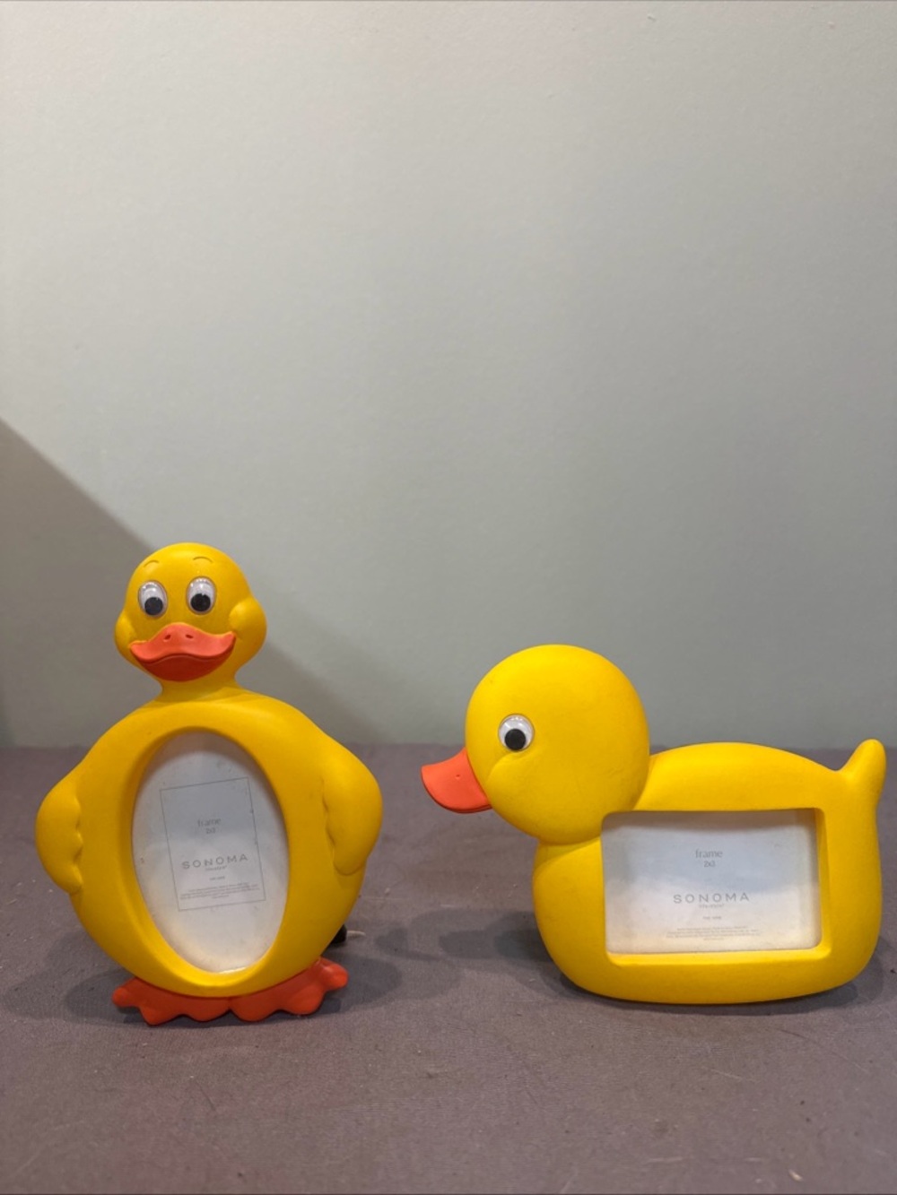 Set Of 2 Small Duck Photo Frames
